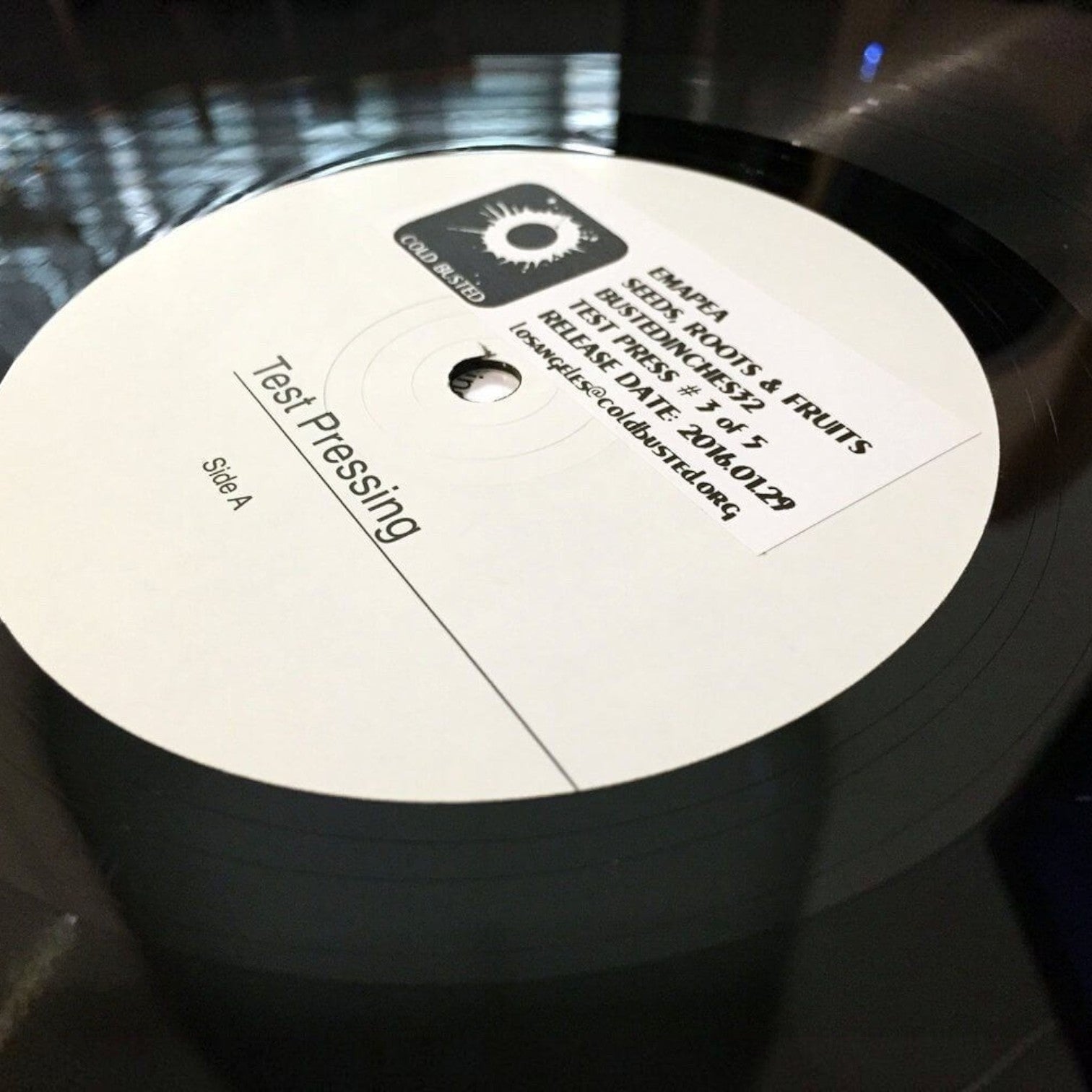Emapea - Seeds, Roots & Fruits - Limited Edition 12 Inch Vinyl Test Pressing - 
