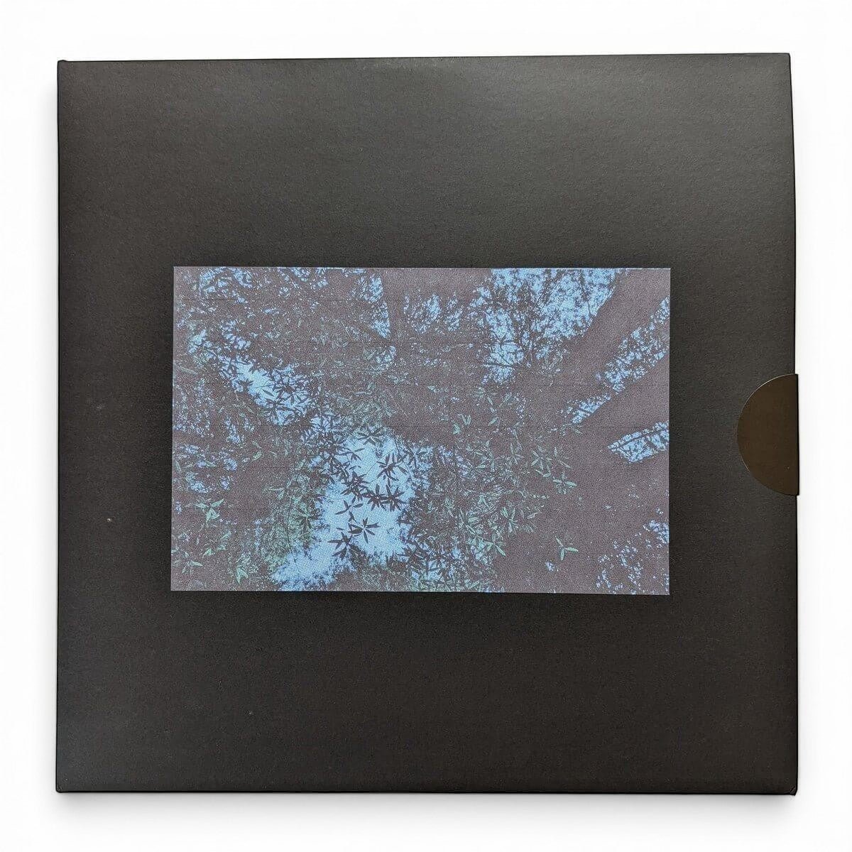 Fiendsh - Hayashi Reborn - Limited Edition 12 Inch Vinyl Test Pressing - COLD BUSTED