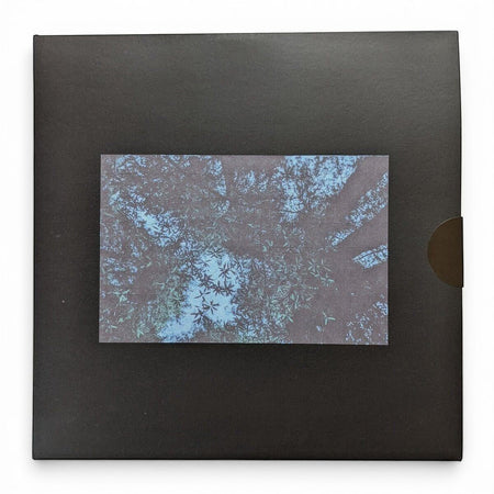 Fiendsh - Hayashi Reborn - Limited Edition 12 Inch Vinyl Test Pressing - COLD BUSTED
