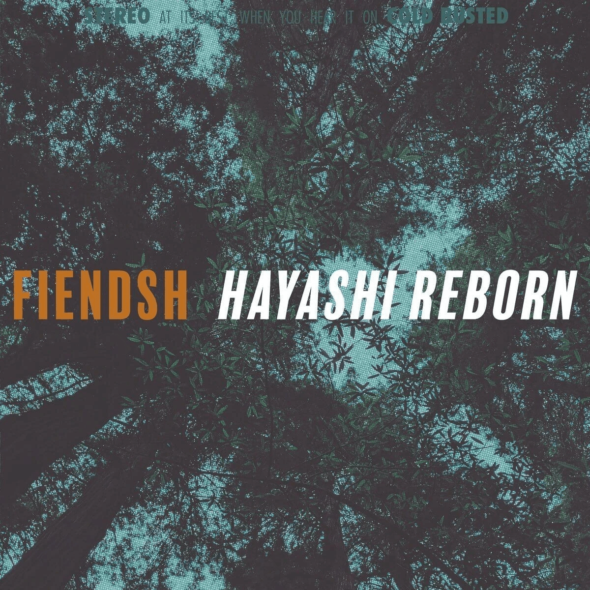 Fiendsh - Hayashi Reborn - Limited Edition 12 Inch Vinyl - COLD BUSTED