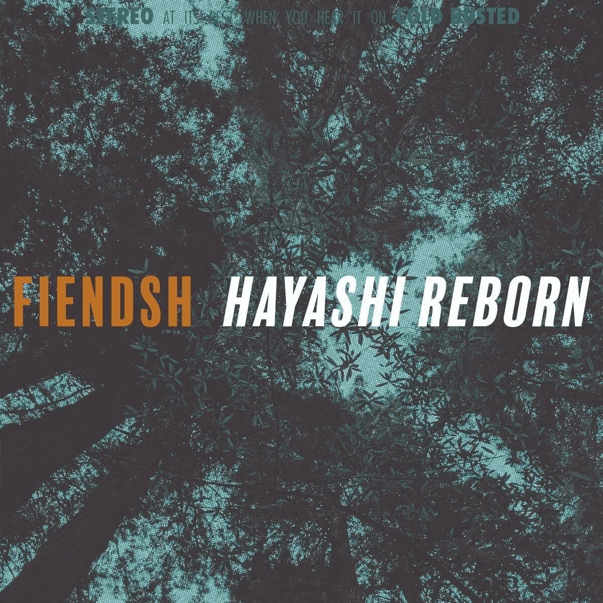 Fiendsh - Hayashi Reborn - Limited Edition 12 Inch Vinyl - 