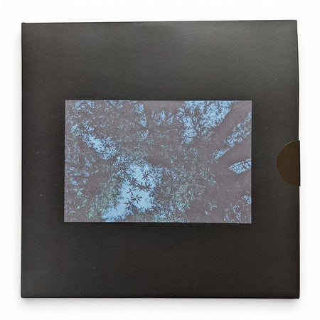 Fiendsh - Hayashi Reborn - Limited Edition 12 Inch Vinyl Test Pressing - 