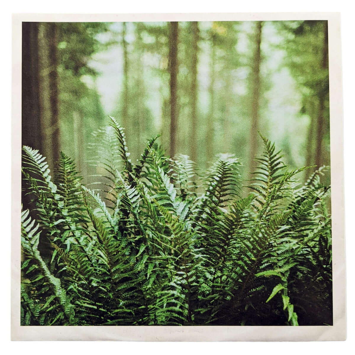 mtbrd - Just Visiting - Limited Edition 7 Inch Vinyl - 
