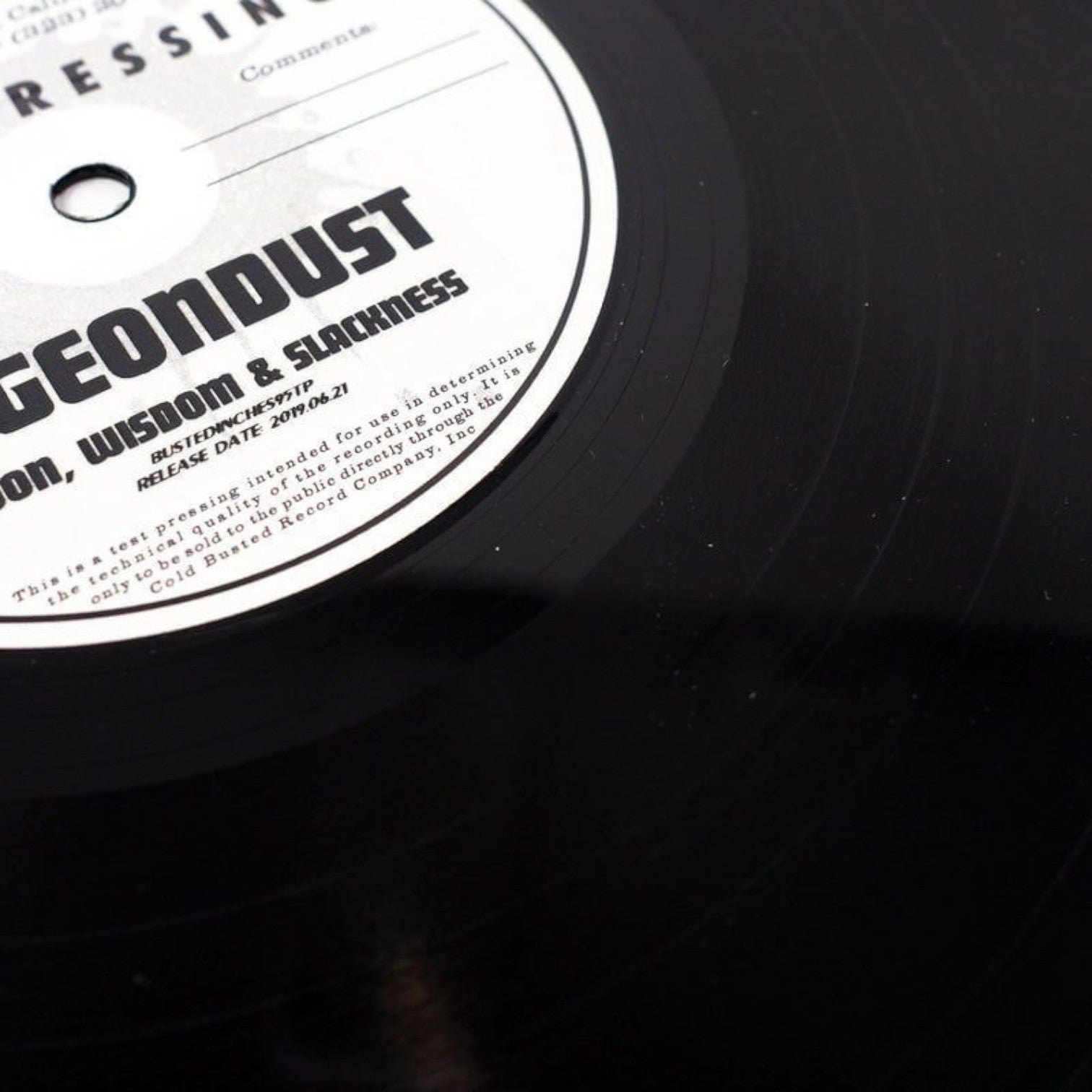Pigeondust - Moon, Wisdom & Slackness - Limited Edition 12 Inch Vinyl Test Pressing Repressed - Cold Busted