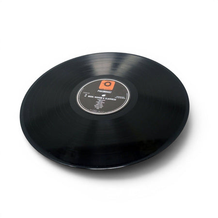 Pigeondust - Moon, Wisdom & Slackness - Damaged - Limited Edition 12 Inch Vinyl Repressed - COLD BUSTED