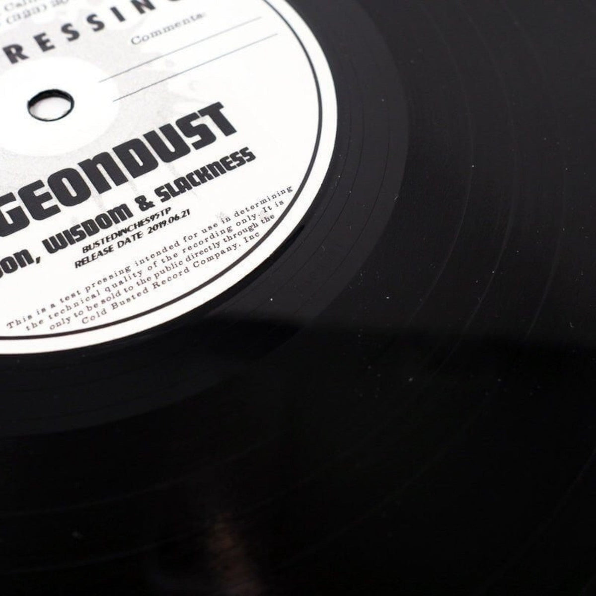 Pigeondust - Moon, Wisdom & Slackness - Damaged - Limited Edition 12 Inch Vinyl Repressed - COLD BUSTED