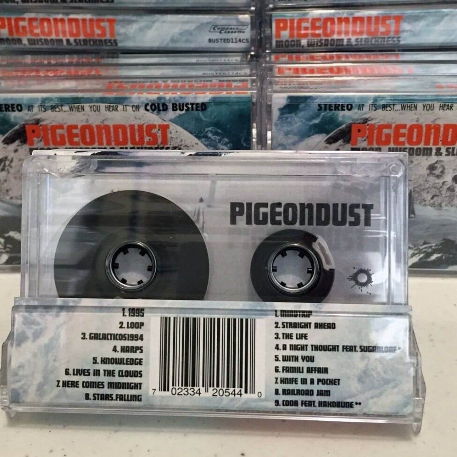 Pigeondust - Moon, Wisdom & Slackness - Damaged - Limited Edition 12 Inch Vinyl Repressed - COLD BUSTED
