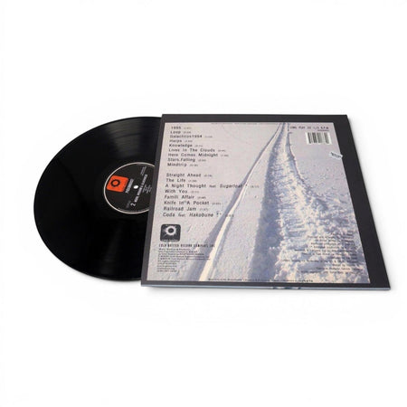 Pigeondust - Moon, Wisdom & Slackness - Damaged - Limited Edition 12 Inch Vinyl Repressed - COLD BUSTED
