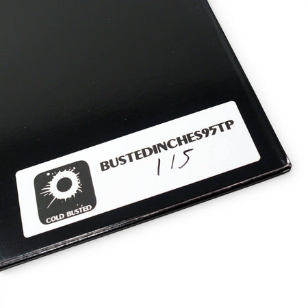 Pigeondust - Moon, Wisdom & Slackness - Damaged - Limited Edition 12 Inch Vinyl Repressed - COLD BUSTED
