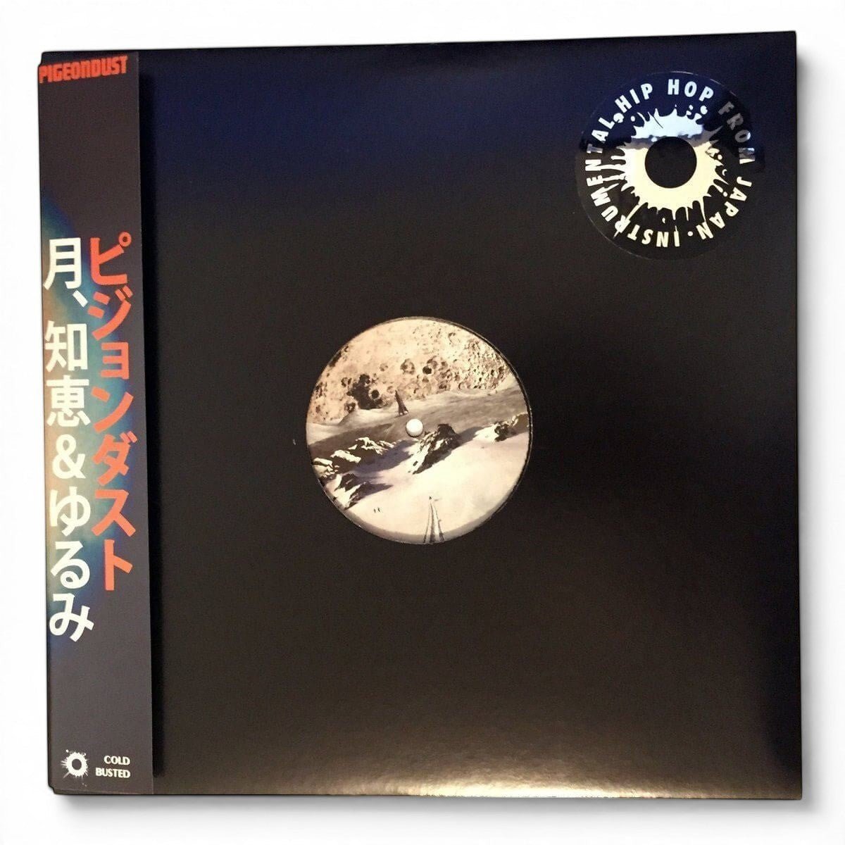 Pigeondust - Moon, Wisdom & Slackness - Damaged - Limited Edition 12 Inch Vinyl Repressed - COLD BUSTED