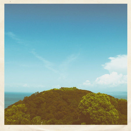 Vanilla - Pointbreak - Limited Edition Transparent Blue Colored 7 Inch Vinyl - 