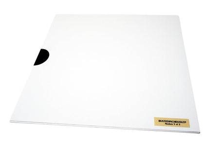 Various Artists - A Very Busted Christmas - Limited Edition 12 Inch Vinyl Test Pressing - COLD BUSTED