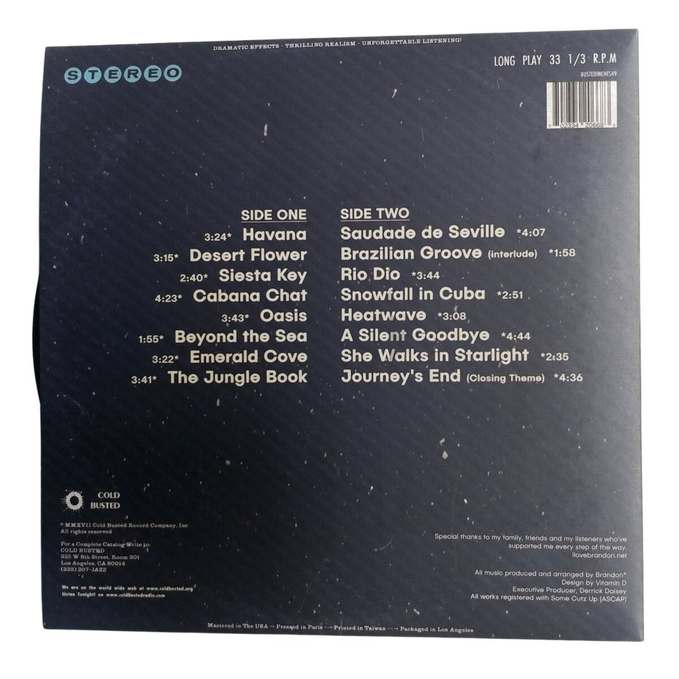 Brandon* - Dreamscape: Part 4 - Limited Edition 12 Inch Vinyl - Cold Busted