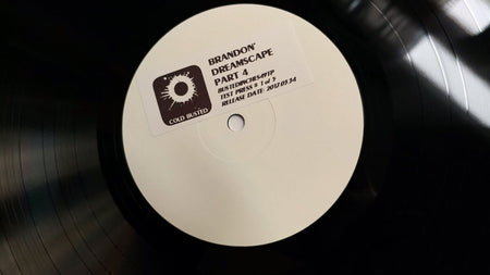 Brandon* - Dreamscape: Part 4 - Dreamscape Part 4 (Test Pressing) - Cold Busted