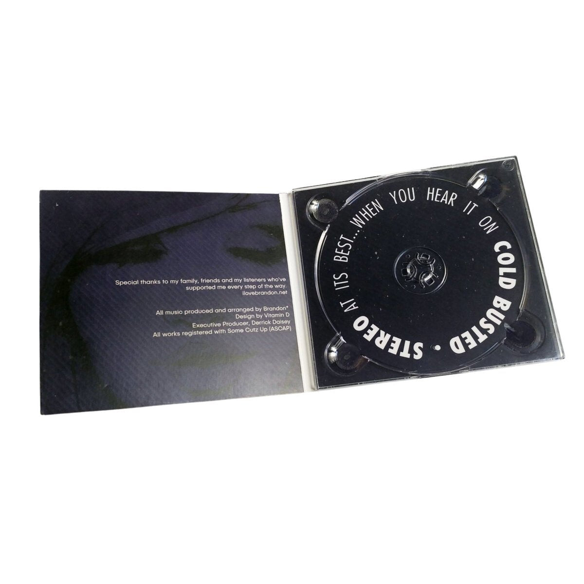 Brandon* - Dreamscape: Part 4 - Limited Edition Compact Disc - Cold Busted