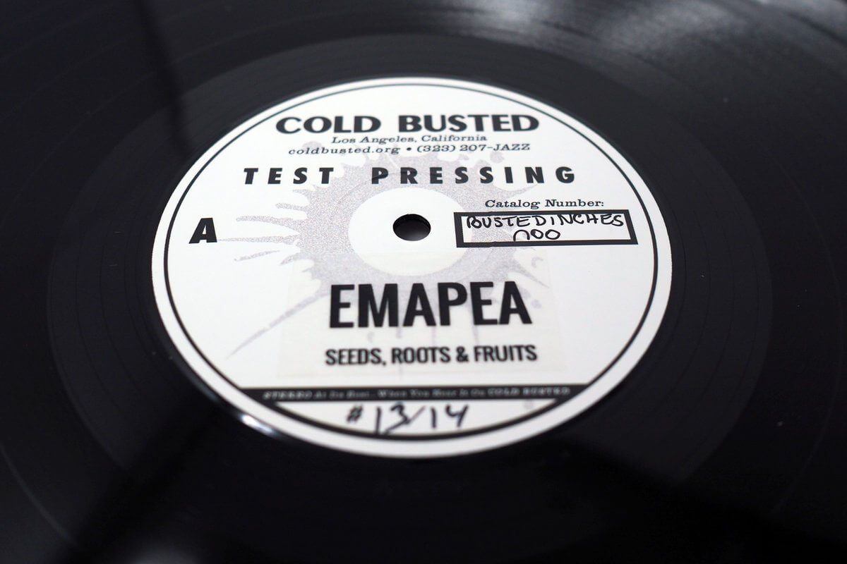 Emapea - Seeds, Roots & Fruits - Limited Edition Double 12 Inch Vinyl Test Pressing - Cold Busted
