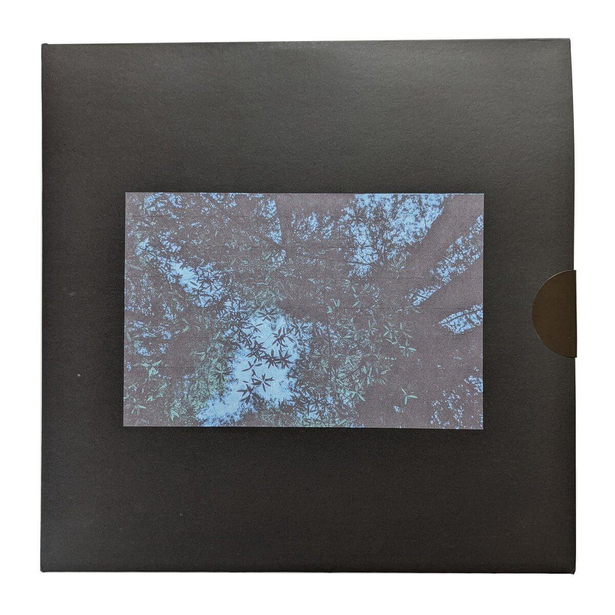 Fiendsh - Hayashi Reborn - Limited Edition 12 Inch Vinyl Test Pressing - Cold Busted