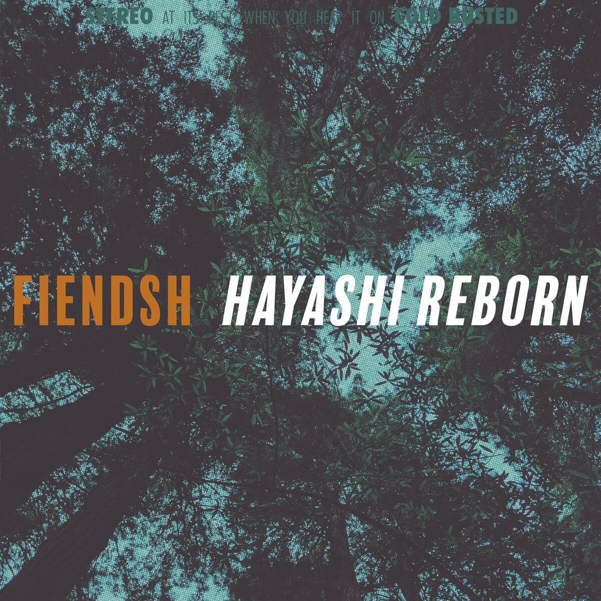 Fiendsh - Hayashi Reborn - Limited Edition 12 Inch Vinyl - Cold Busted