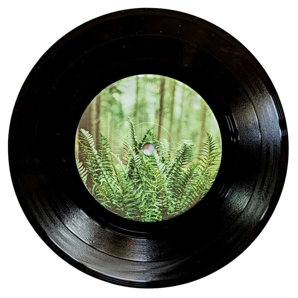 mtbrd - Just Visiting - Limited Edition 7 Inch Vinyl - Cold Busted